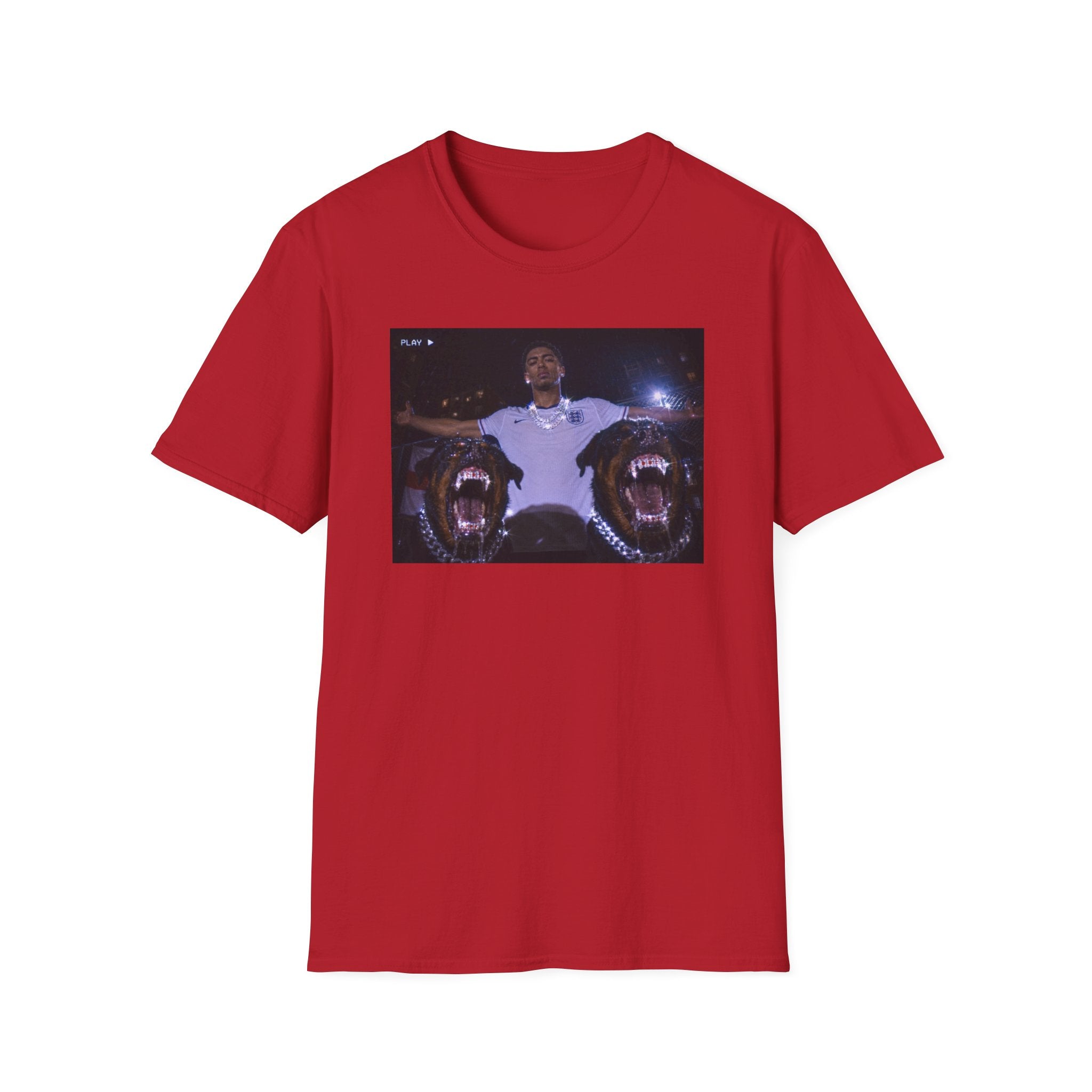Three Lions Unleashed Graphic Tee