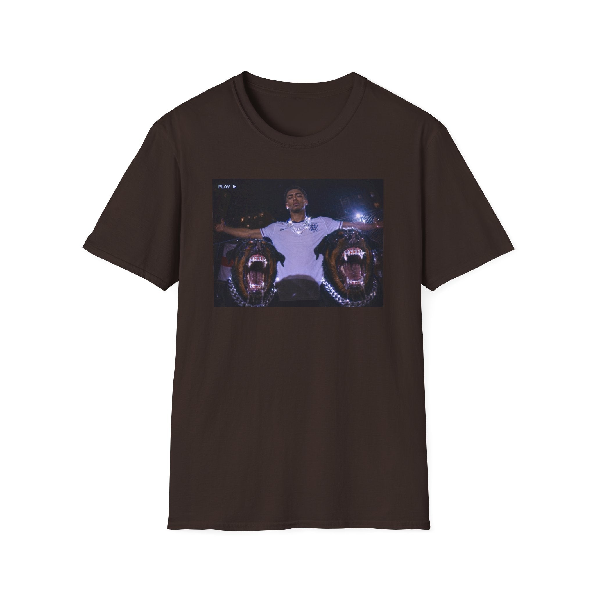 Three Lions Unleashed Graphic Tee